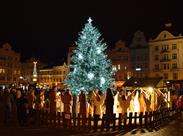 plzeňský vánoční strom
(zdroj: https://www.visitplzen.eu/)