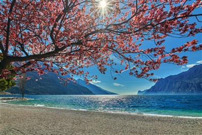 LAGO DI GARDA s hotelem u jezera - pláž mezi Riva del Garda a Torbole - Lago di Garda - Itálie - poznávací zájezd
