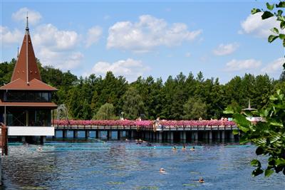 HÉVÍZ & ENSANA THERMAL relax nad jezerem - Léčivé jezero obklopené ochranným lesem 100-letých platanů a bahenních cypřišů - lázně Hévíz - Maďarsko - RELAX pobyt