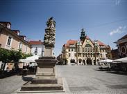 Radnice města Ptuj