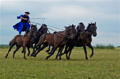HAJDÚSZOBOSZLÓ & AQUASOL relax ve zlaté vodě - Romantická pusta kde nebojácní pastevci předvádějí své bravurní umění - Hortobágy - Maďarsko - RELAX pobyt