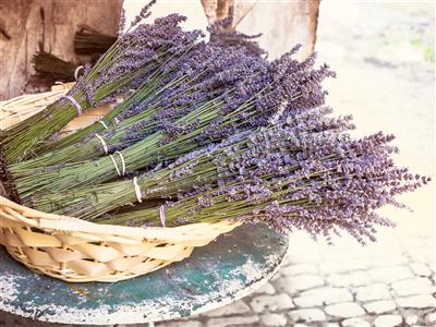 PROVENCE a levandulové slavnosti ve Valensole