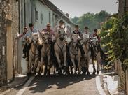 camargští honáci na koních - Provence - Francie - poznávací zájezd