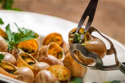 PAŘÍŽ a Versailles - francouzská specialita Escargots - Paříž - Francie - poznávací zájezd