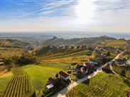 Pohled z věže Vinarium na Lendavské Gorice s vinicemi