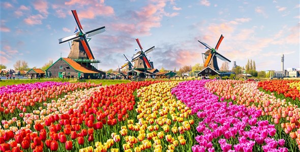 HOLANDSKO a květinové korzo s hotelem u moře