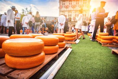 HOLANDSKO a květinové korzo s hotelem u moře - sýrový trh v Alkmaaru - Holandsko - poznávací zájezd