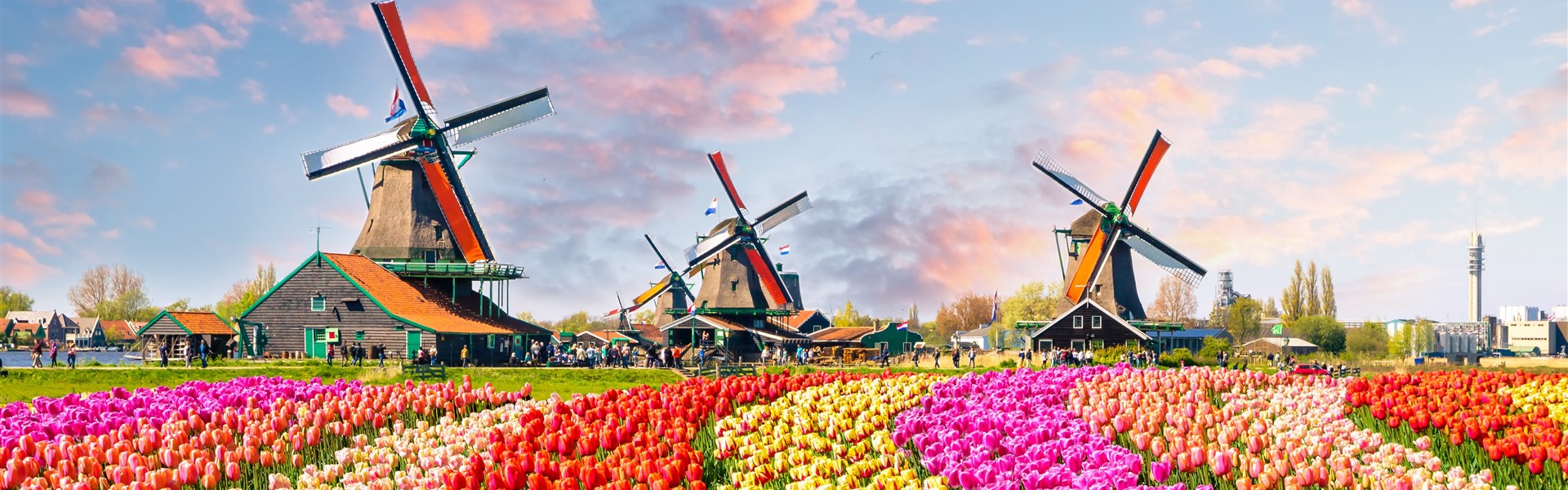 HOLANDSKO a květinové korzo