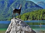 Bohinjské jezero - Ankaran - Slovinsko - relax pobyt