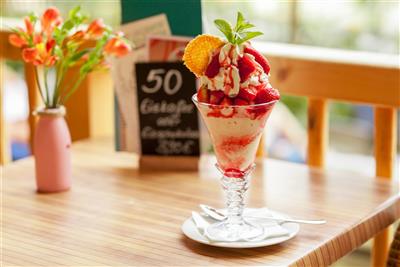 TROPICAL ISLANDS relax v největším tropickém ráji Evropy - Sladké potěšení u Jižního moře - Tropical Islands - Německo - koupací zájezd