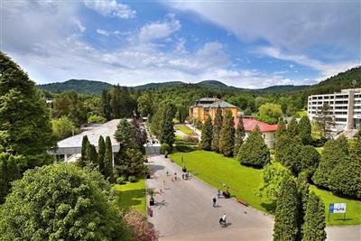 BARDĚJOVSKÉ KÚPELE & TERME HOTEL OZÓN relax plný energie - BARDĚJOVSKÉ KÚPELE & HOTEL OZÓN - Areál lázní - Bardějovské Kúpele - Slovensko - Relax pobyt