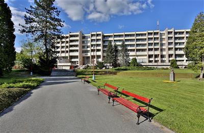 BARDĚJOVSKÉ KÚPELE & TERME HOTEL OZÓN relax plný energie - BARDĚJOVSKÉ KÚPELE & HOTEL OZÓN - Hotel Ozón - Bardějovské Kúpele - Slovensko - Relax pobyt