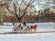 Central Park - New York - USA - Amerika - za oceán - poznávací zájezd
zdroj: https://www.centralpark.com/