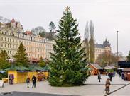 karlovarský vánoční strom - advent - Karlovy Vary
(zdroj: https://www.kudyznudy.cz/akce/vanocni-trhy-karlovy-vary)