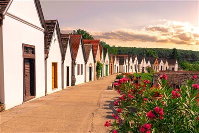 HARKÁNY & DRÁVA THERMAL RESORT relax v čertovské vodě a 4x celodenní vstup do lázní - sklípky ve vinařské vesničce Villány - Harkány - Maďarsko - Relax pobyty