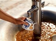 KARLOVY VARY jarní výlet za vřídelní vodou, Becherovkou a kávou Pupp