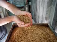 MARIÁNSKÉ LÁZNĚ & CHATEAU MONTY nejkouzelnější  lázně Česka