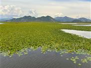 Kouzelná Černá Hora a tajemná Albánie