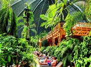 největší "indoorový" deštný prales na světě - Tropical Islands - Německo