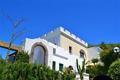 Terme Park Mediterraneo - Terme Park Mediterraneo - pohled na hotel - Forio - Ischia - za mořem